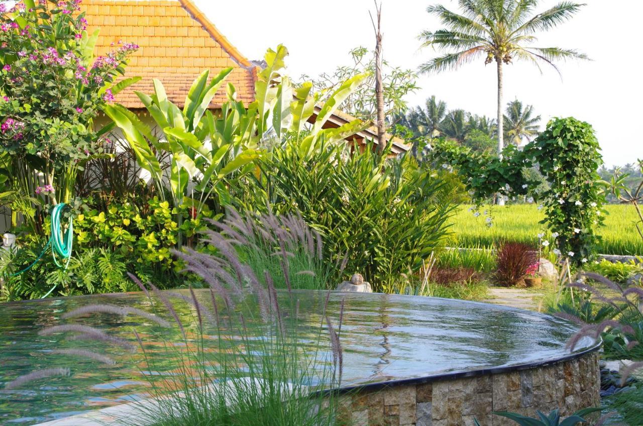 Bali Sawah Indah Hotel Ubud Exterior foto