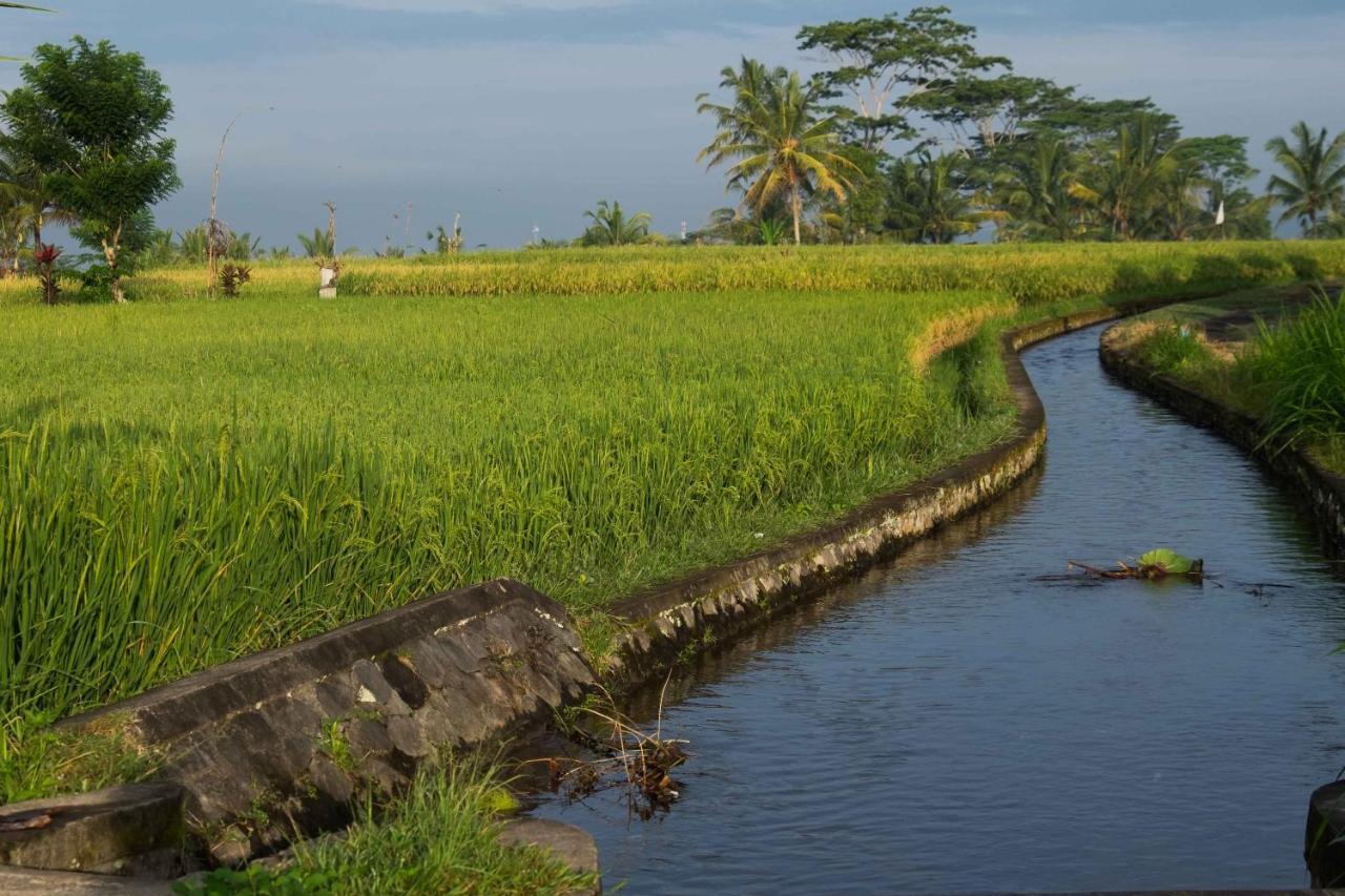 Bali Sawah Indah Hotel Ubud Exterior foto